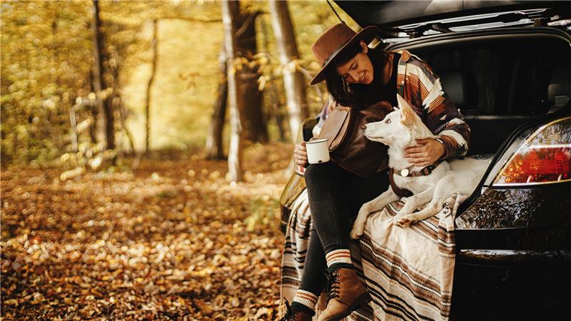 5 astuces virales d’automne pour la voiture à éviter (et quoi faire à la place)