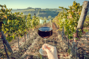 Main tenant un verre de vin rouge devant un vignoble sous le soleil, avec des collines verdoyantes en arrière-plan.